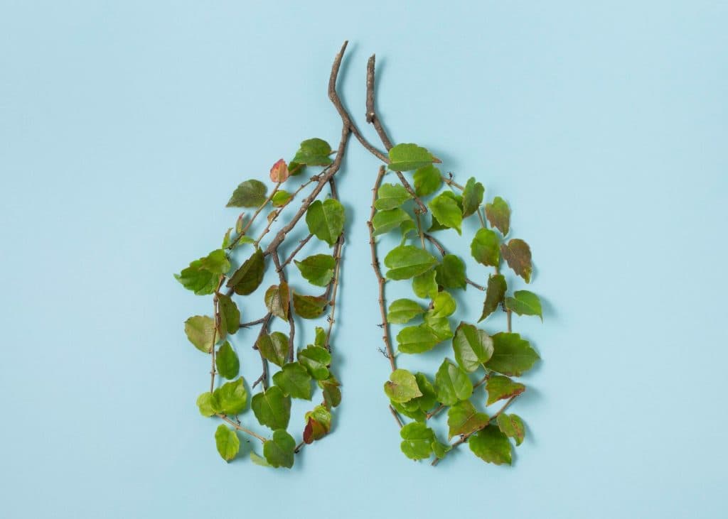 صحة الرئتين