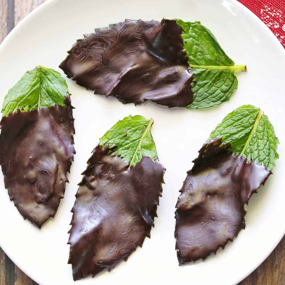 Chocolate Mint Leaves Recipe