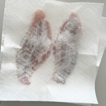 Blotting the fish.