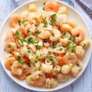 Seafood mix is served on a white plate.